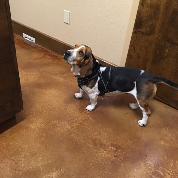 ➕Meet your Posher, Seana ➕ - Picture 3 of 7